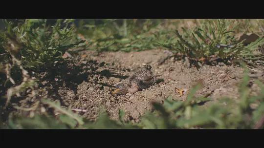 生态平衡遭破坏