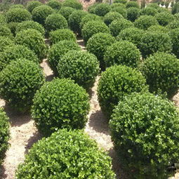 惠农网：购买前的温馨提示