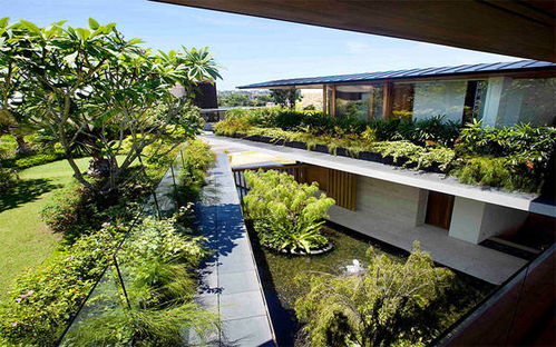 绿色植物：城市热岛效应的天然解药