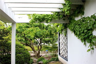 上海某高端楼盘的空中花园案例值得借鉴：