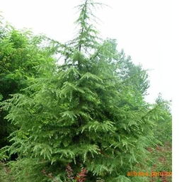 如何获取准确价格