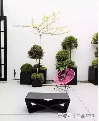 一、 那些常见的绿化植物们