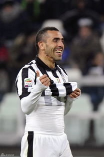 警惕低价陷阱：选择优质的特维斯巴甲种子