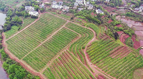 经济对比表， 一目了然