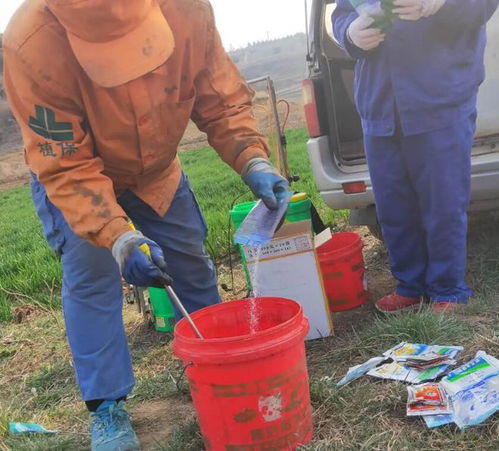 混了放久了Neng平安用吗？