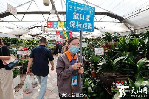 济南苗圃花卉市场与宁德Zui大花鸟市场：花卉爱好者的天堂