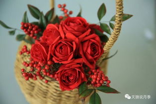 多色切花月季， 色彩斑斓的花界明星