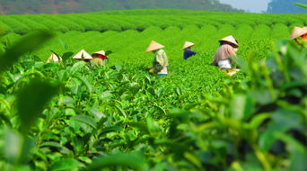 三大潜在亏损点，你注意了吗？