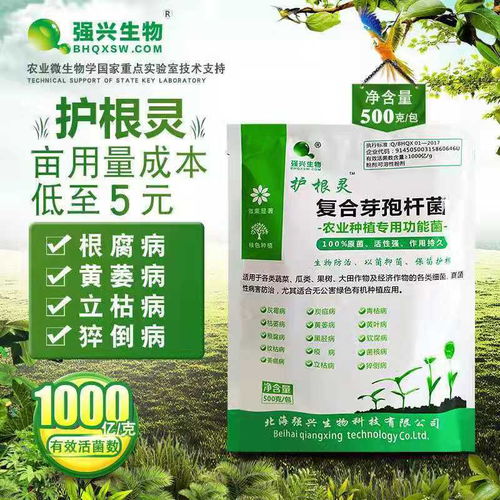 使用多烂根菌灵， 你需要注意这些