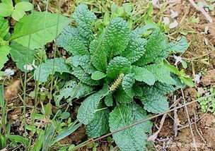 先说个扎心对比