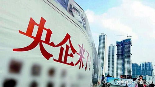 六和集团作为全国饲料厂国企，它是不是属于国有企业呢？