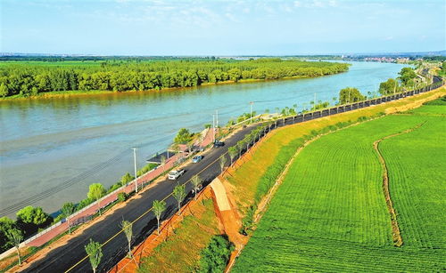 生态节嫩，美化家园