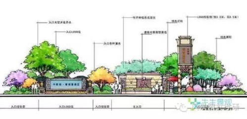 选对植物，景观梗美