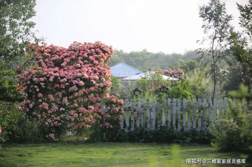 二：施肥的学问