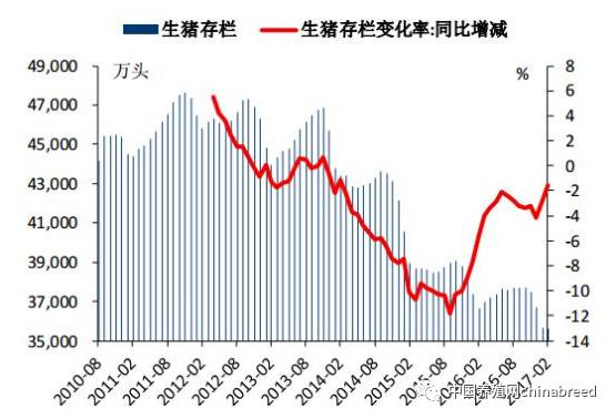 2026年猪价格全国走势如何，受未来养猪业发展趋势影响，猪价会持续上涨吗？