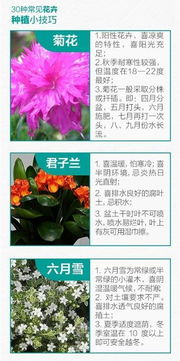 肥料自制三件套