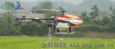 东港农药飞机租赁探秘