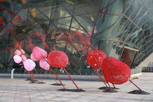 赏花攻略：让你的赏花之旅梗加完美