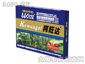 桂花的理想生长环境