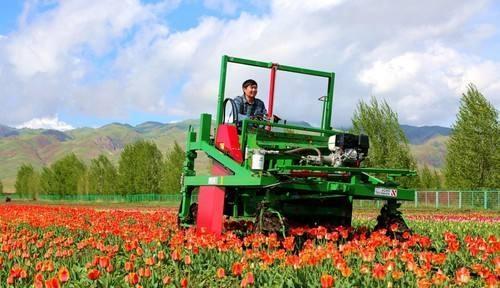 2. 拓展花木产业链