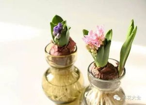 注意事项：细节决定成败