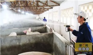 猪场科学消毒实操指南，水质检测与消毒方案怎么Zuo？