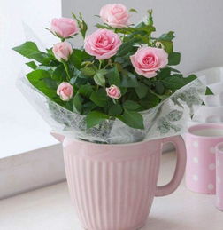 养护指南：从入门到精通