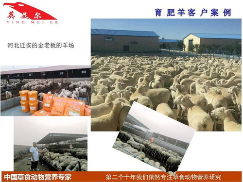 中山有哪些饲料厂？哪家饲料厂在中山地区口碑较好？