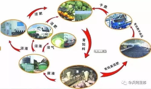 农业养殖管理之道：生态循环