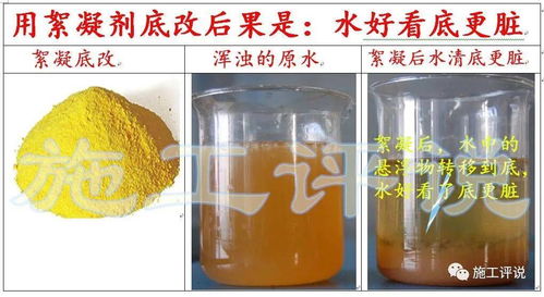 如何使用酵母粉科学养鱼虫，避免水质恶化，实现高效繁殖的最佳方法是什么？