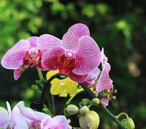 成功秘诀， 你值得拥有