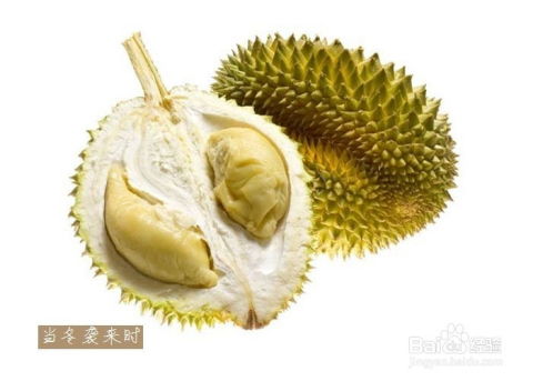 榴莲怎么吃最有营养？试试这几种吃法