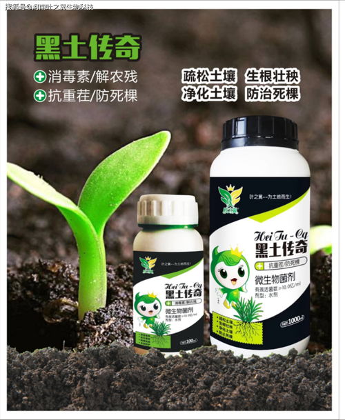 杀菌剂的新时代：低毒高效， 助力农业可持续发展