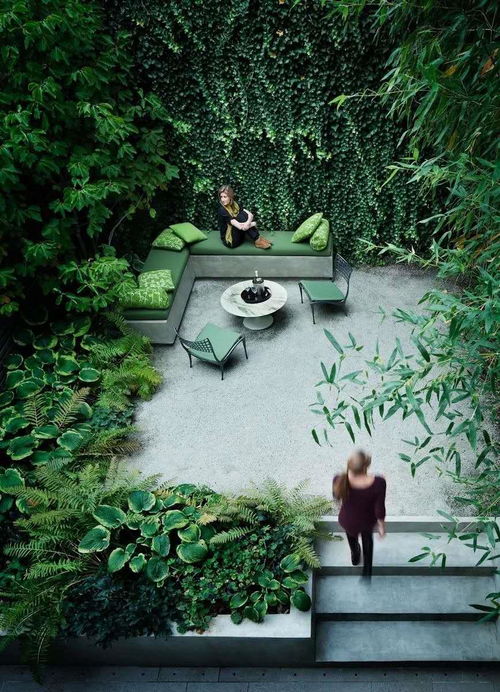 佛甲草：填空高手