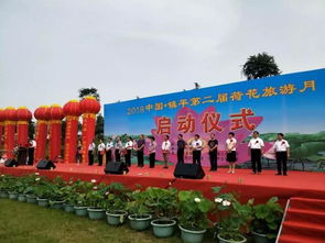 挖掘荷文化 打造特色园区