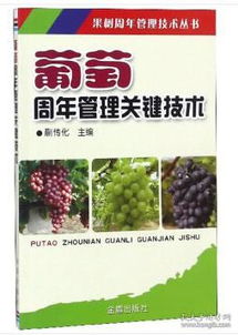 水分管理，关键所在