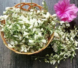 揭秘百合花产量最高的产地，你不可不知的园艺秘籍！