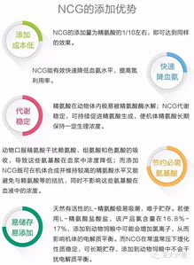 精氨酸饲料中精氨酸对母猪的营养作用有哪些，具体应用在哪些阶段最有效？