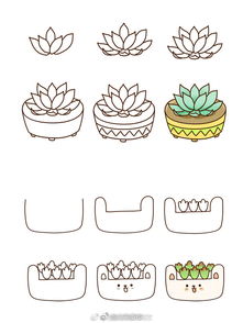 指尖上的萌趣绿洲
