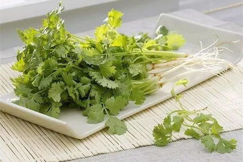 香菜， 调味的好帮手