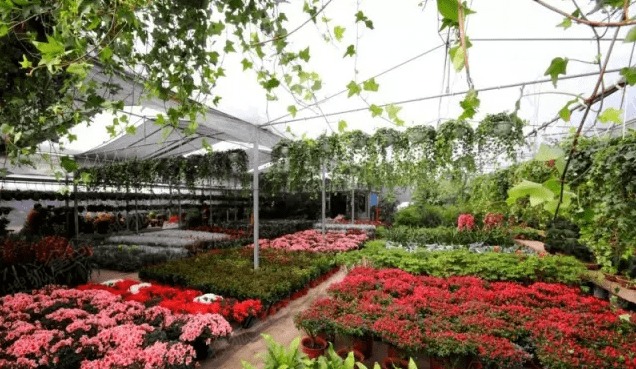 提供一站式服务， 买卖两便