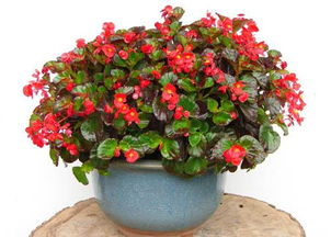 温度篇：温暖是关键