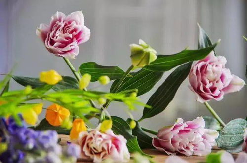 夏天鲜花如何养护延长花期？