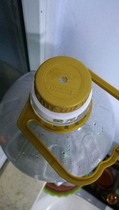 废油桶大变身，种出美丽花朵！