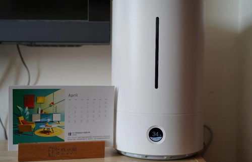 加湿器选择与植物搭配