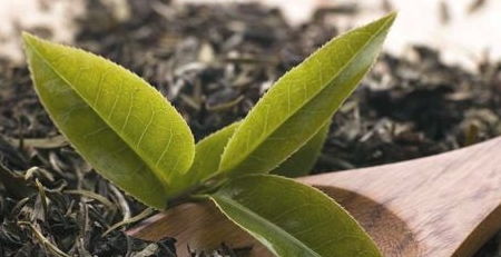 种子保存大揭秘，别再让桃金娘种子发霉了！