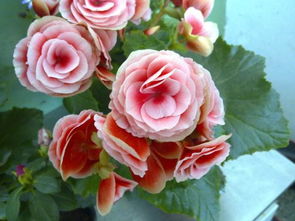 选信誉好卖家， 这学问可大了