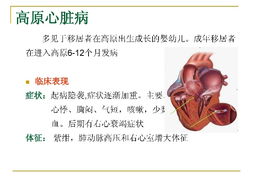棉花（T
