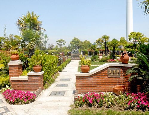 冷知识，夜间叶片凝露，微型灌溉系统