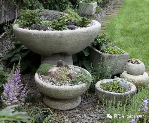 河岸花草种植：耐涝品种的选择与护坡技巧